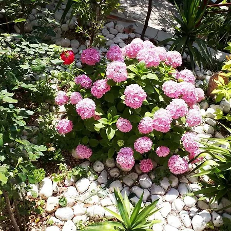 Apartman Silvia Makarska